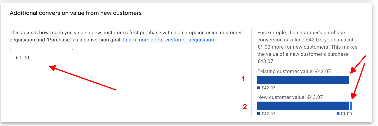 visual example of the new customer acquisition goal in Google Ads